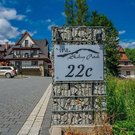 Willa Skalny Potok Zakopane Eksteriør billede